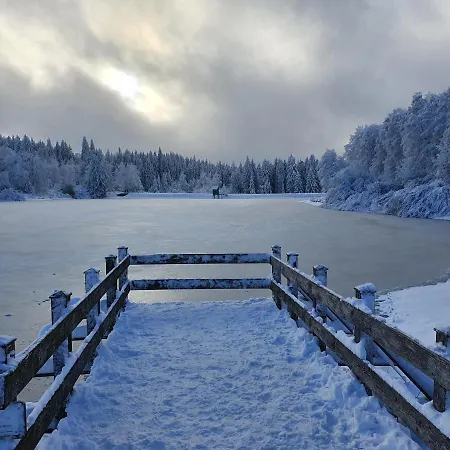 Appartamento Harz Loft - Vier Jahreszeiten