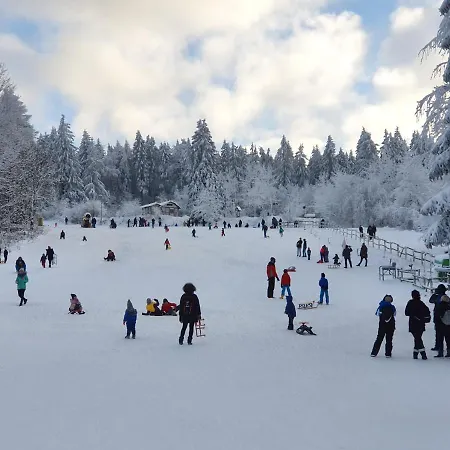Апартаменты Harz Loft - Vier Jahreszeiten *