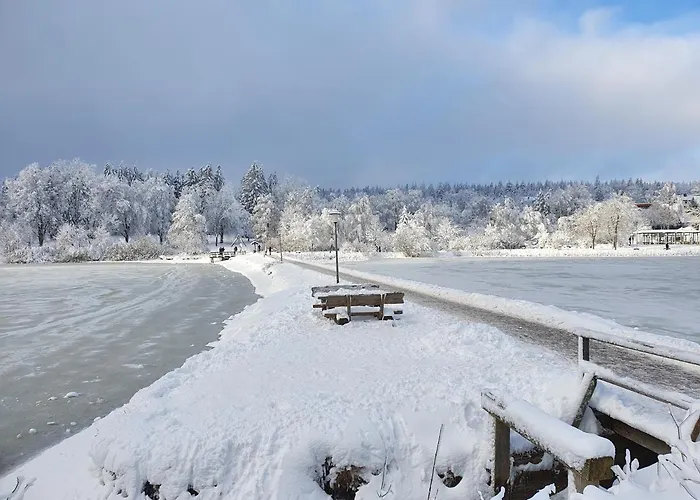 Appartamento Harz Loft - Vier Jahreszeiten Goslar