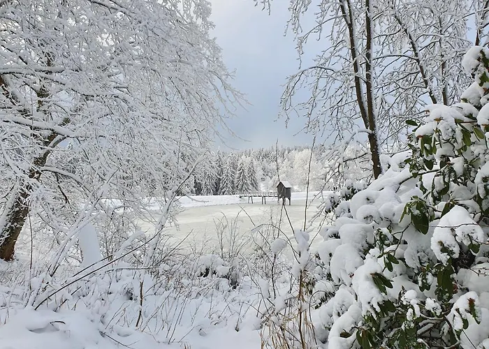 Harz Loft - Vier Jahreszeiten Апартаменты