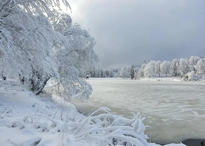 Harz Loft - Vier Jahreszeiten *