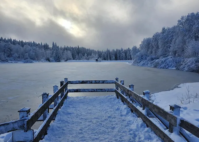Апартаменты Harz Loft - Vier Jahreszeiten