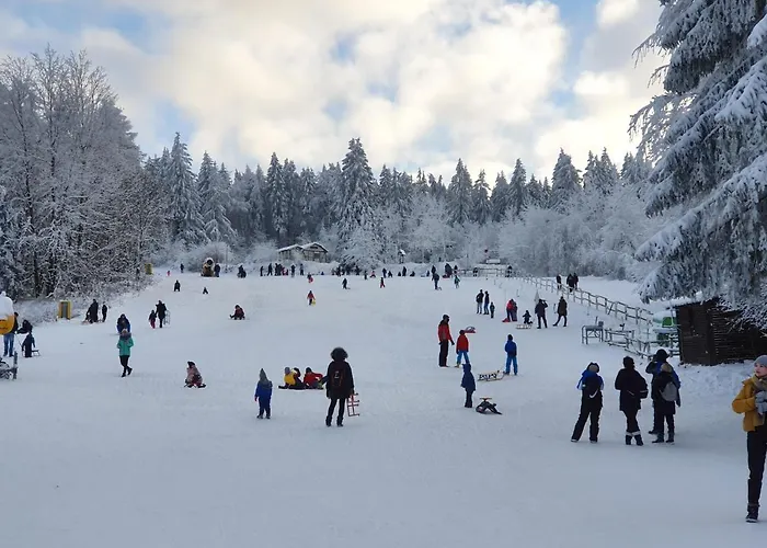Апартаменты Harz Loft - Vier Jahreszeiten *