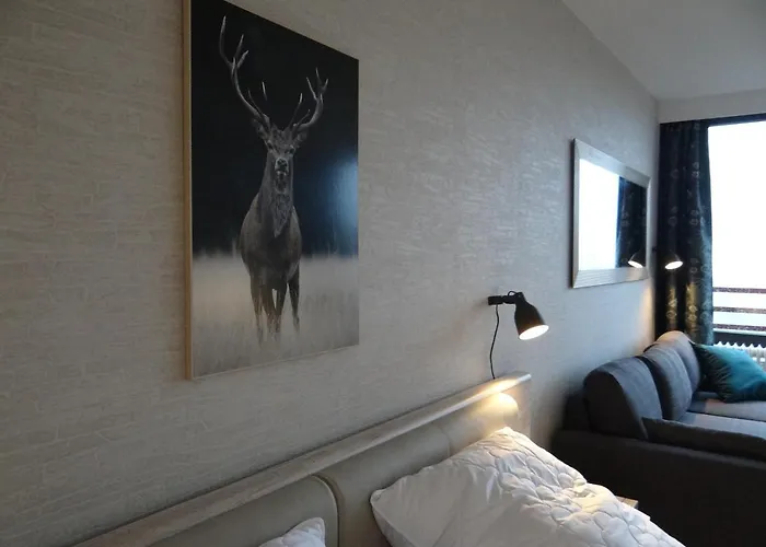 Harz Loft - Vier Jahreszeiten Апартаменты *