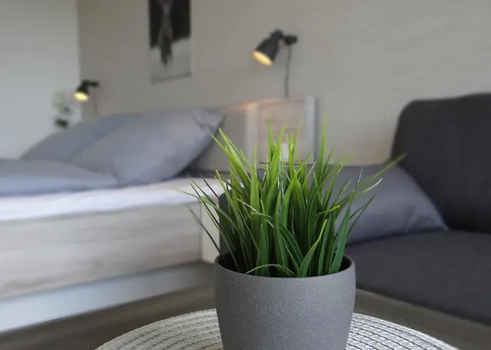 Harz Loft - Vier Jahreszeiten Апартаменты *