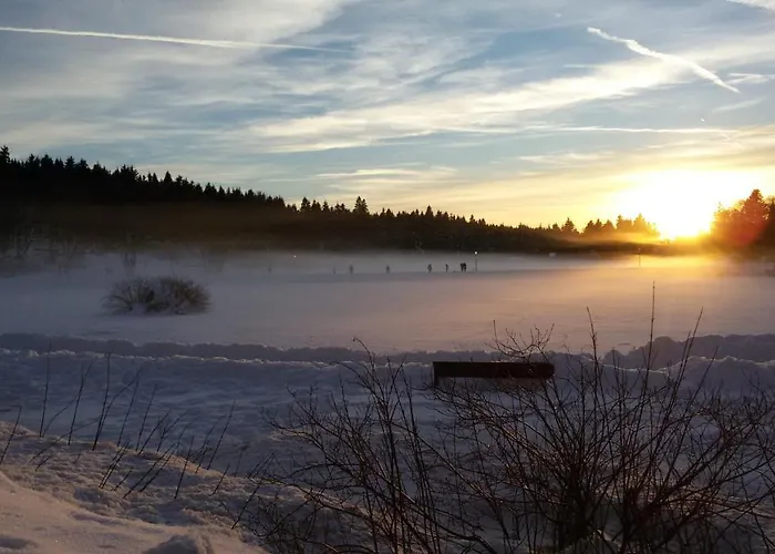 Appartamento Harz Loft - Vier Jahreszeiten Goslar